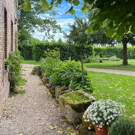 Dans Parc Du Chateau D