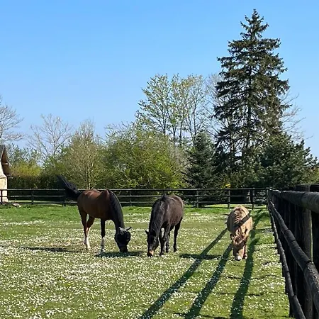 Дом отдыха Dans Parc Du Chateau D Эмальвиль
